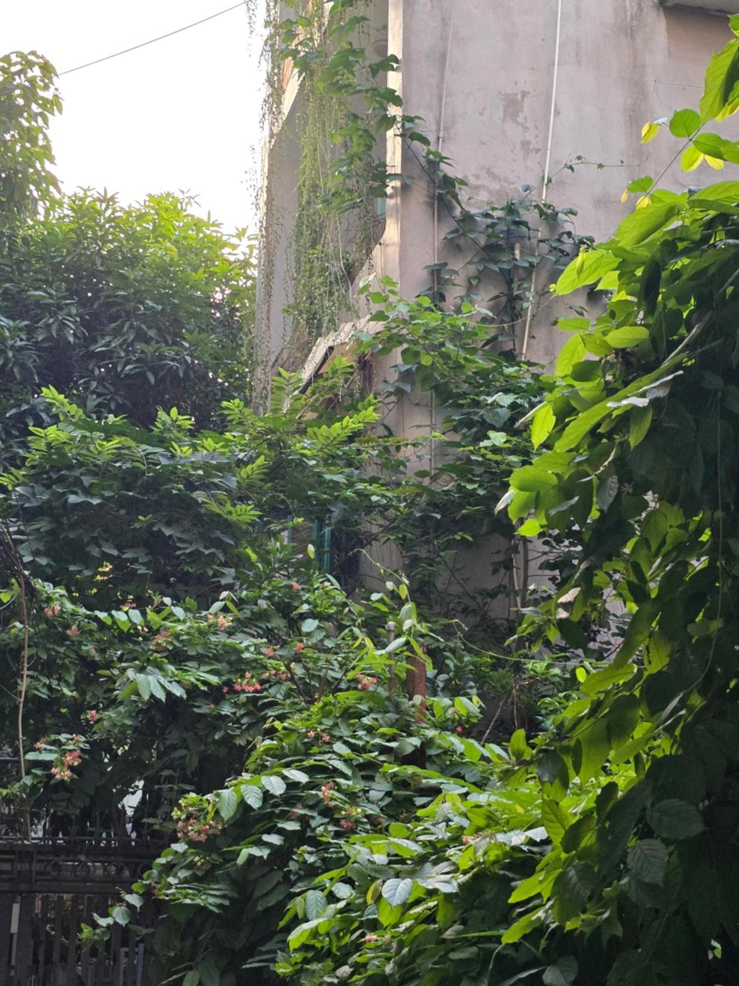 Appartement 12a/89 Pham Dong, Ha Noi